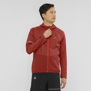 Salomon Agile Wind Laufjacke Rot | 75429-NOLT