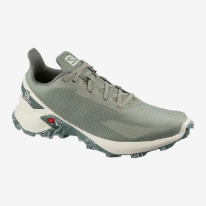 Salomon Alphacross Blast Freizeitschuhe Gray | 13026-AWCD