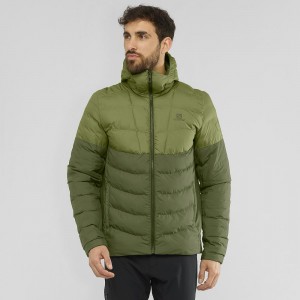 Salomon Essential Xwarm Insulated Hoodie Grün | 47186-GBAN