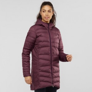 Salomon Essential Xwarm Long Jacke Lila | 72390-HIAP