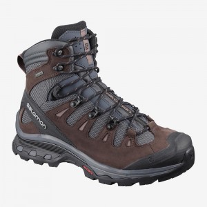 Salomon Quest 4D 3 Gtx W Trekking Gray | 84723-IGTX