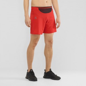 Salomon Sense Kurzes M Kurze Hose Rot | 51879-QDTJ