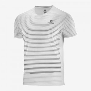 Salomon Sense Tee M Oberteile Weiß | 85723-LIDF