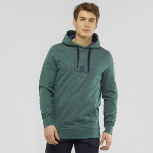 Salomon Shift Hoodie M Hoodie Grün | 38769-RKEM