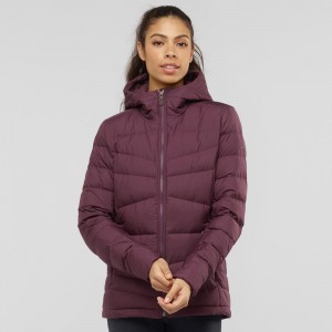 Salomon Transition Down Hoodie W Jacke Lila | 60783-HTZI