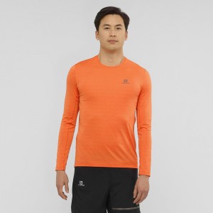 Salomon Xa Ls Tee M Oberteile Orange | 26475-MYSN