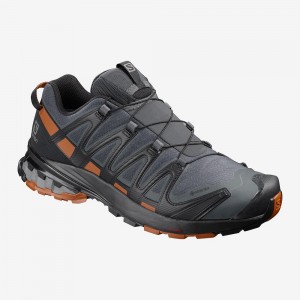 Salomon Xa Pro 3D V8 Gore-Tex Trailrunning Schuhe Gray | 01437-LNIQ