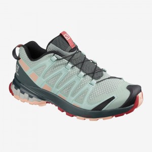 Salomon Xa Pro 3D V8 Trailrunning Schuhe Gray | 47980-HYZG