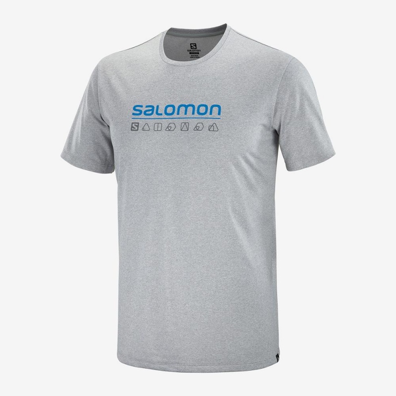 Salomon Agile Graphic Tee M Oberteile Gray | 47819-CIMW