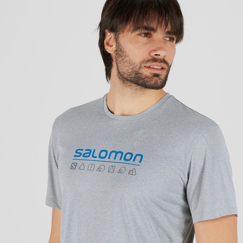 Salomon Agile Graphic Tee M Oberteile Gray | 47819-CIMW