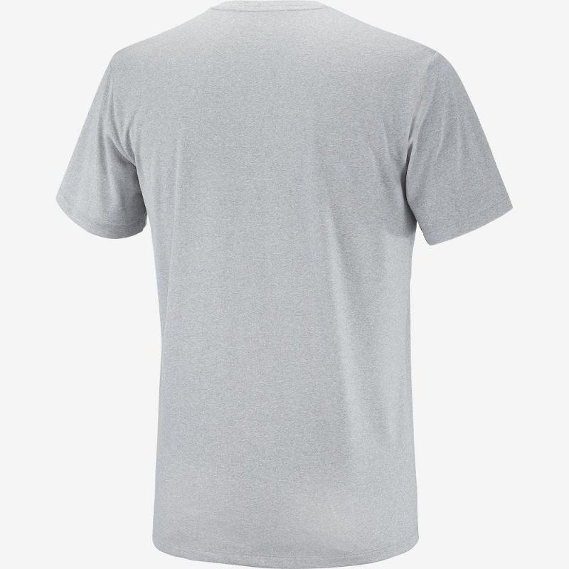 Salomon Agile Graphic Tee M Oberteile Gray | 47819-CIMW