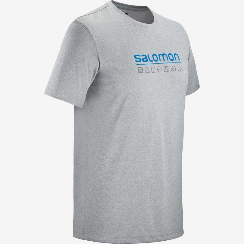 Salomon Agile Graphic Tee M Oberteile Gray | 47819-CIMW