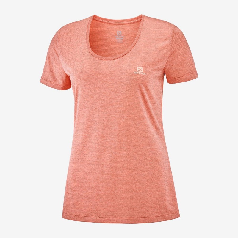 Salomon Agile T-shirts Orange | 72685-IZWT