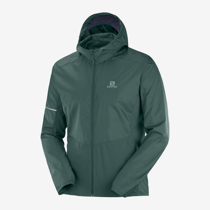 Salomon Agile Wind Laufjacke Grün | 35481-AMHI