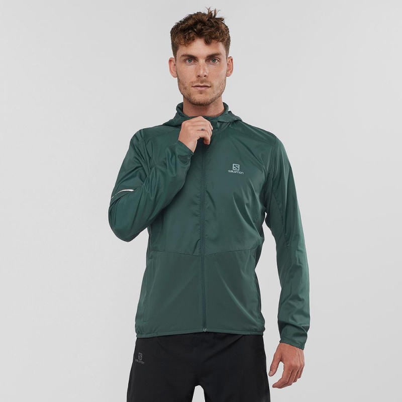 Salomon Agile Wind Laufjacke Grün | 35481-AMHI