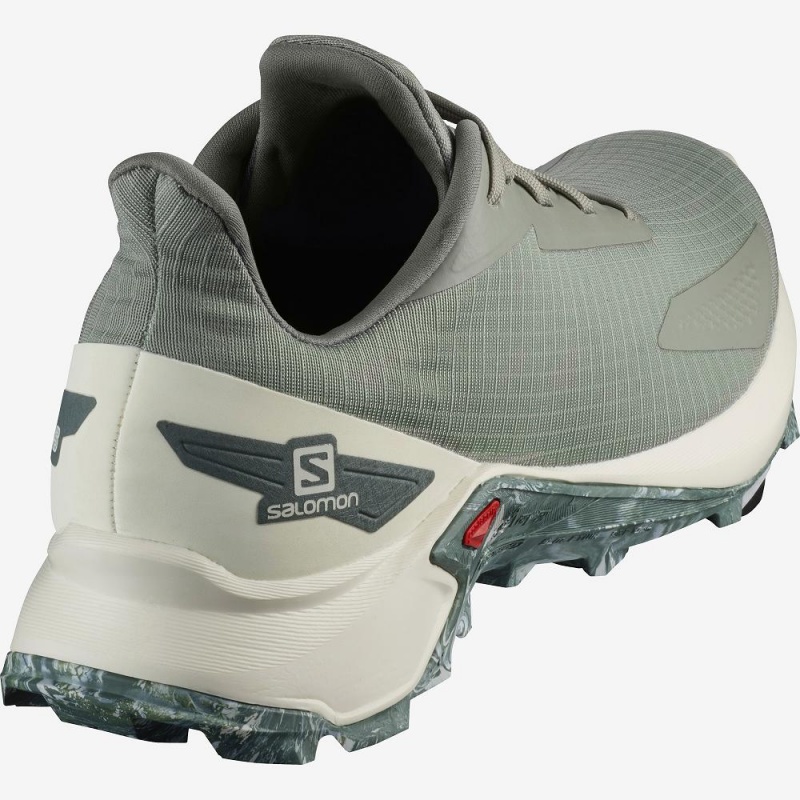 Salomon Alphacross Blast Freizeitschuhe Gray | 13026-AWCD