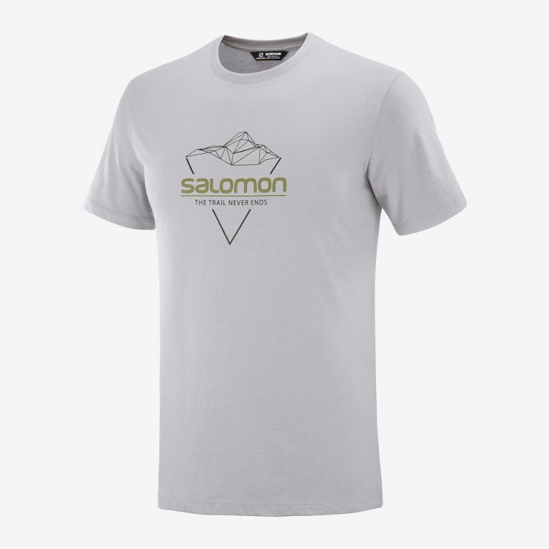 Salomon Blend Logo Tee M T-shirts Gray | 45863-IYDF