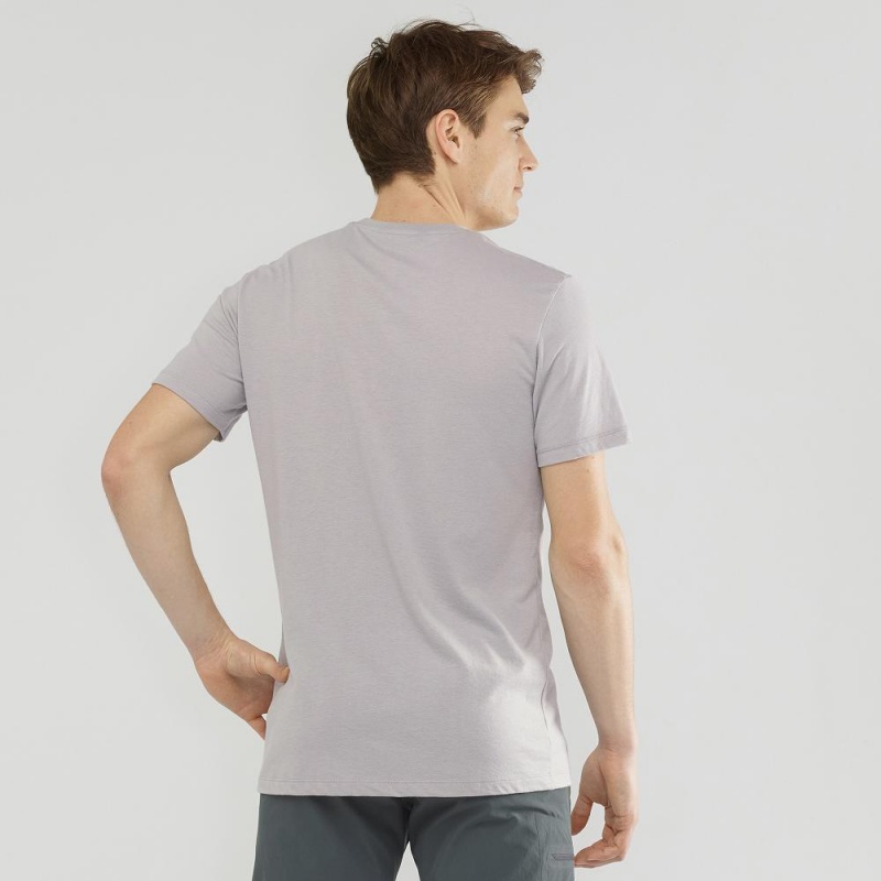 Salomon Blend Logo Tee M T-shirts Gray | 45863-IYDF