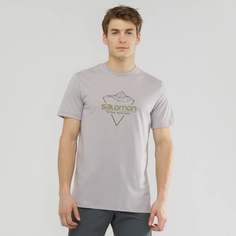 Salomon Blend Logo Tee M T-shirts Gray | 45863-IYDF