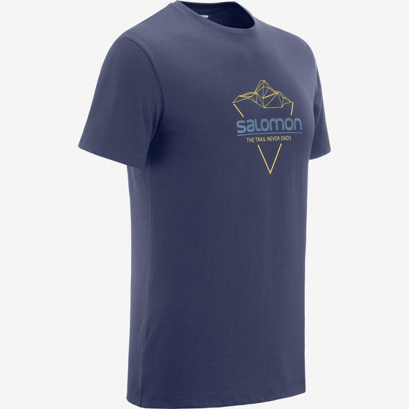 Salomon Blend Logo Tee M T-shirts Navy | 76312-PDLC