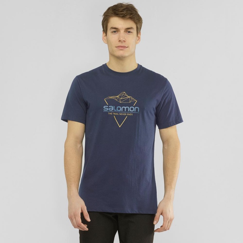 Salomon Blend Logo Tee M T-shirts Navy | 76312-PDLC