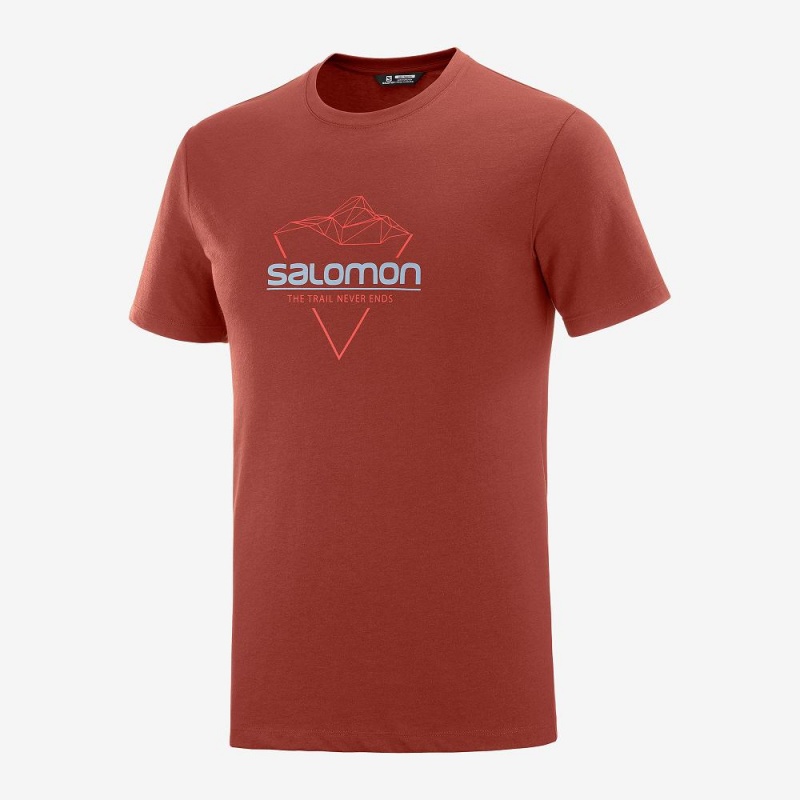 Salomon Blend Logo Tee M T-shirts Rot | 98370-NCUF