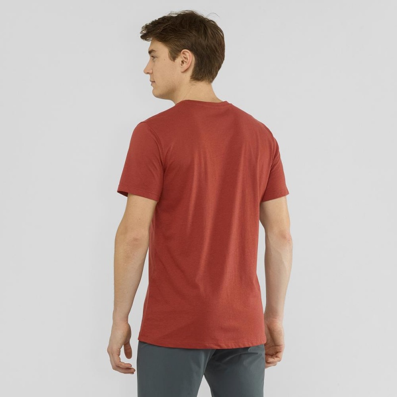 Salomon Blend Logo Tee M T-shirts Rot | 98370-NCUF