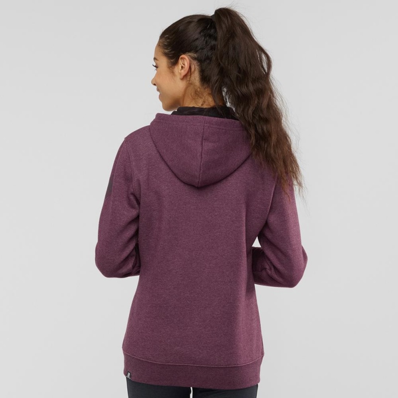 Salomon Essential Warm Hoodie Lila | 60124-DSFM