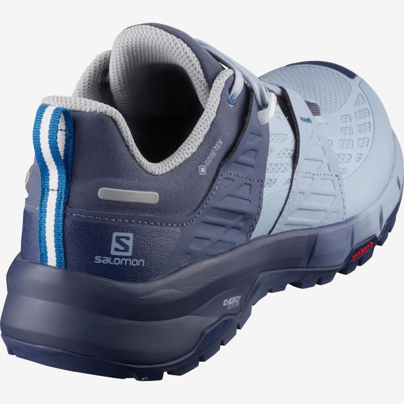 Salomon Odyssey Gtx W Laufschuhe Blau | 68975-KYSR