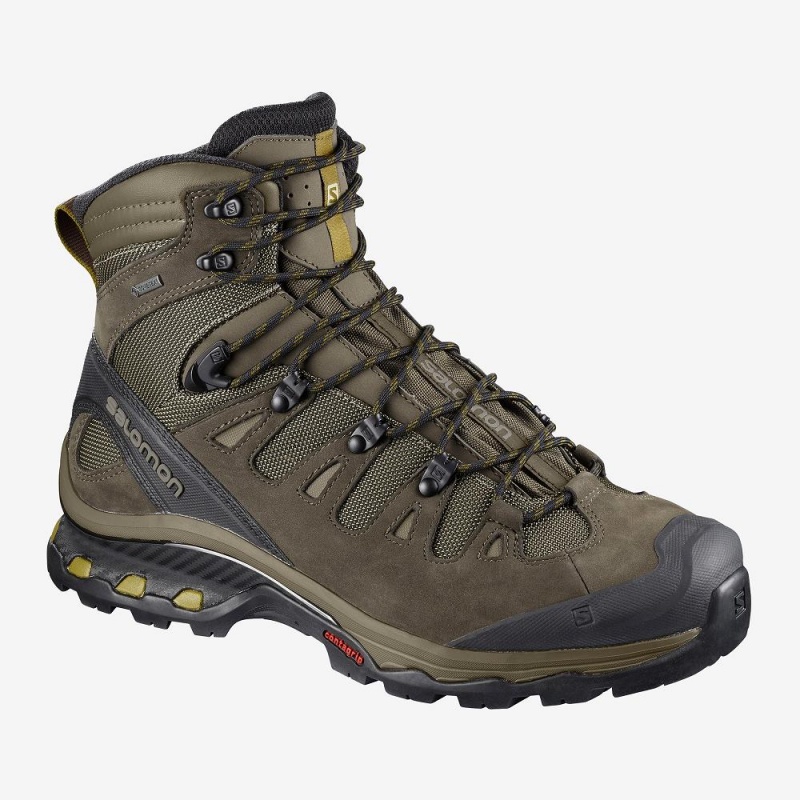 Salomon Quest 4D 3 Gtx Wanderstiefel Braun | 63085-JSRH