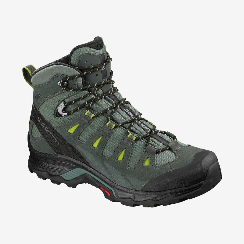 Salomon Quest Prime Gtx Trekking Grün | 24039-VSEH