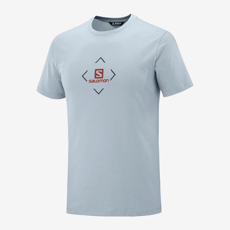 Salomon Salomon Baumwoll Tee M T-shirts Blau | 65780-EVRS