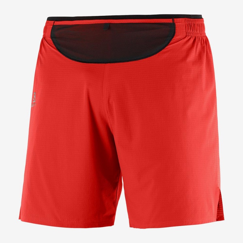 Salomon Sense Kurzes M Kurze Hose Rot | 51879-QDTJ