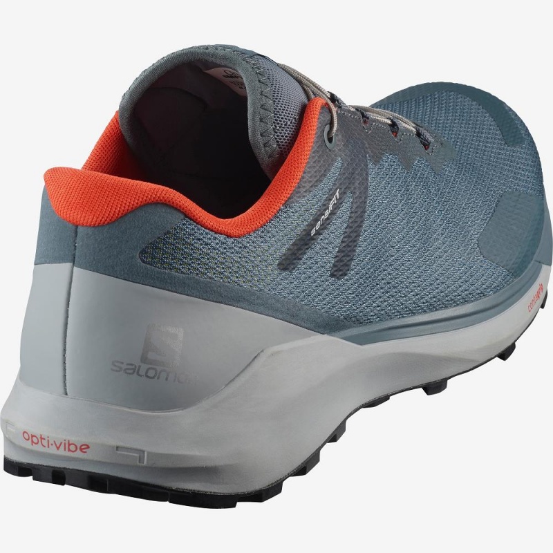 Salomon Sense Ride 3 Trailrunning Schuhe Gray | 38641-SHGI