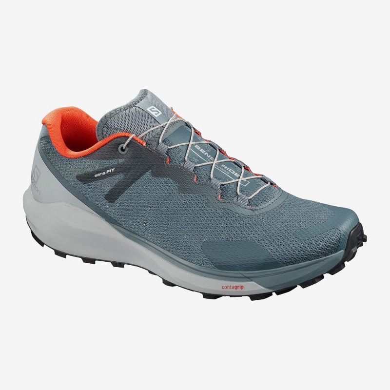 Salomon Sense Ride 3 Trailrunning Schuhe Gray | 38641-SHGI