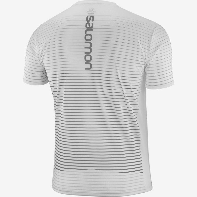 Salomon Sense Tee M Oberteile Weiß | 85723-LIDF