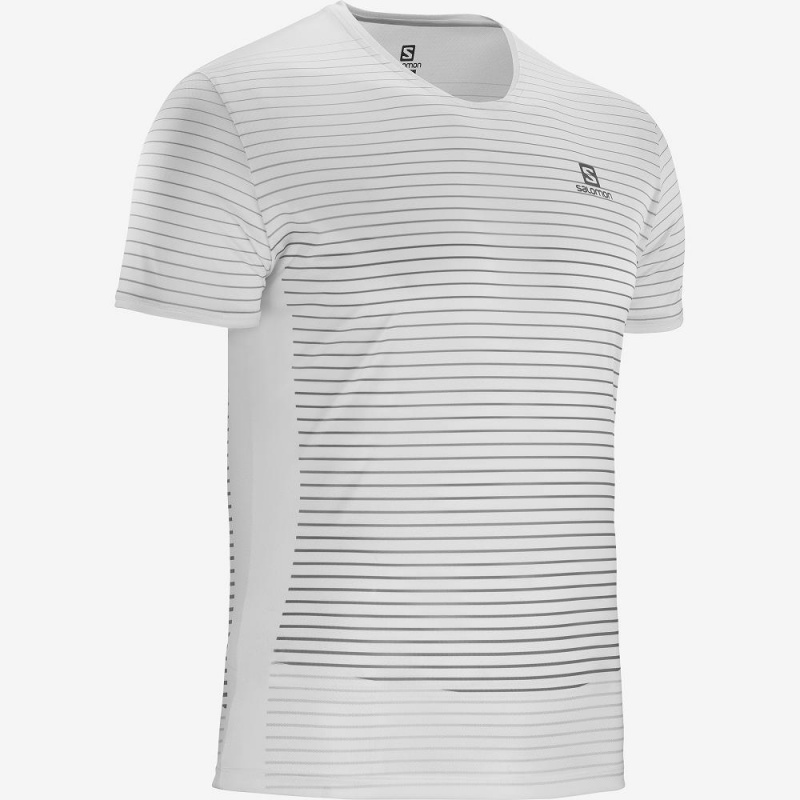 Salomon Sense Tee M Oberteile Weiß | 85723-LIDF