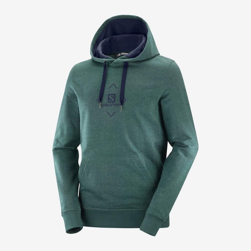 Salomon Shift Hoodie M Hoodie Grün | 38769-RKEM