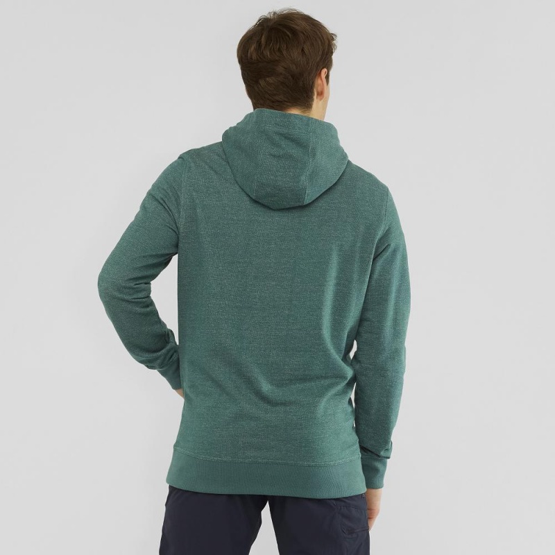 Salomon Shift Hoodie M Hoodie Grün | 38769-RKEM