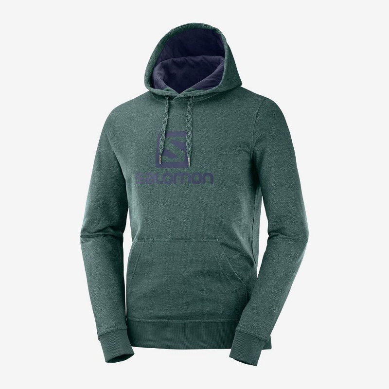 Salomon Shift Hoodie M Hoodie Grün | 53064-PCAM