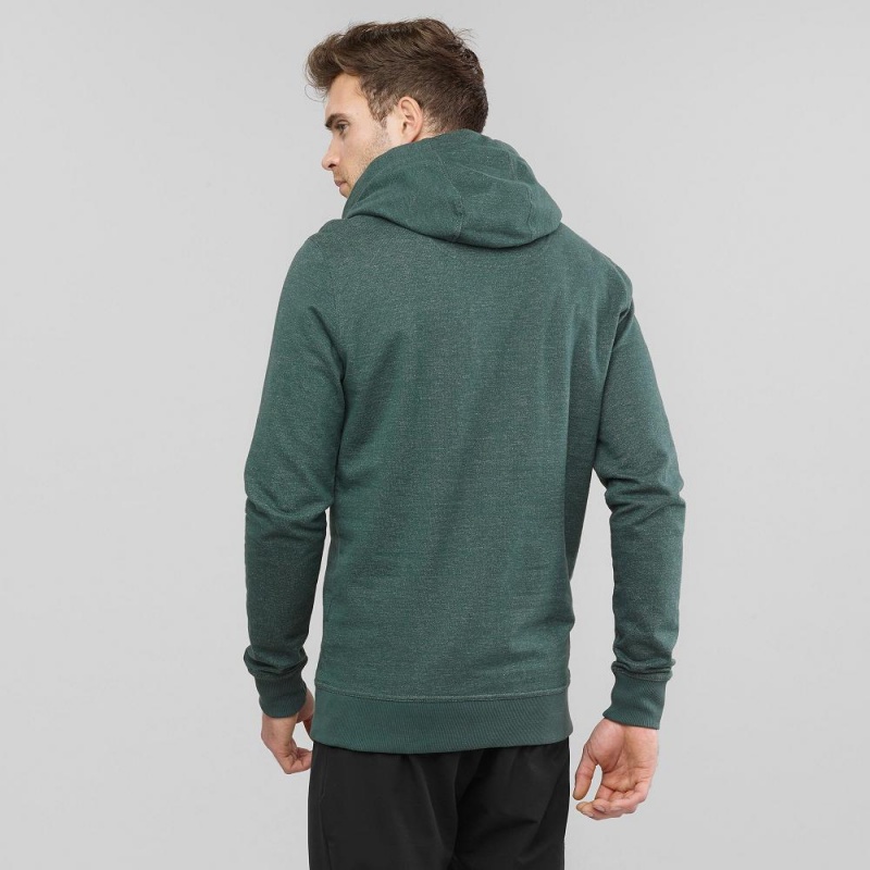 Salomon Shift Hoodie M Hoodie Grün | 53064-PCAM