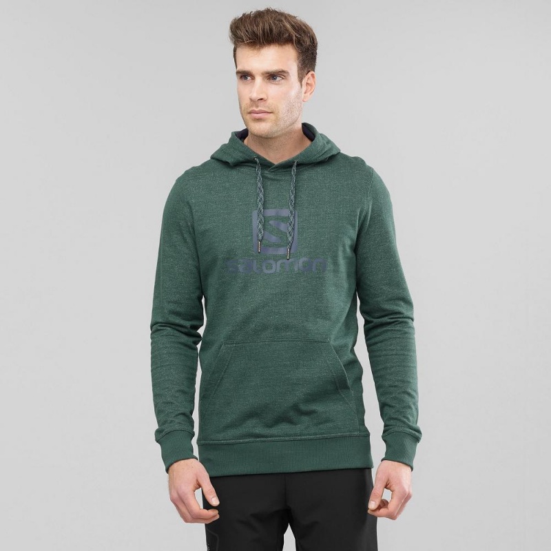 Salomon Shift Hoodie M Hoodie Grün | 53064-PCAM