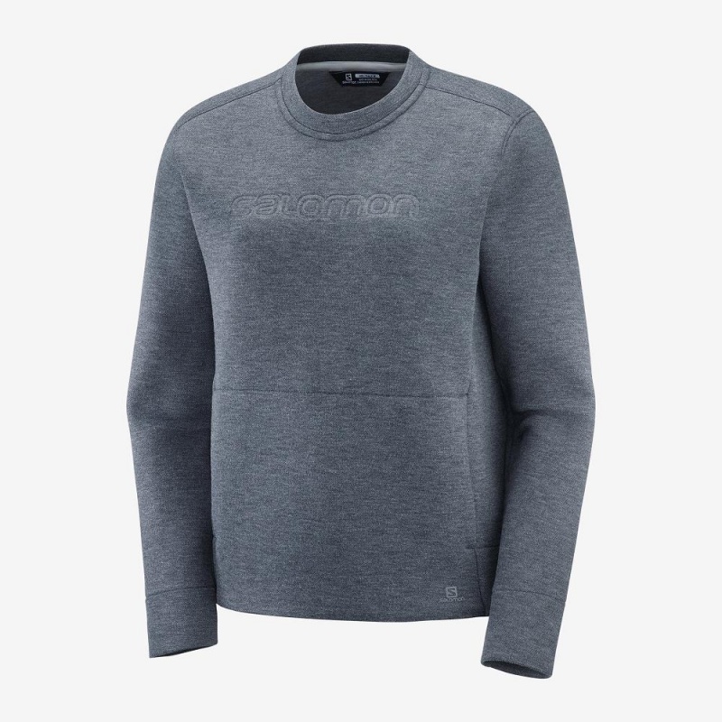 Salomon Sight Crew Neck W Pullover Gray | 23957-YMPT