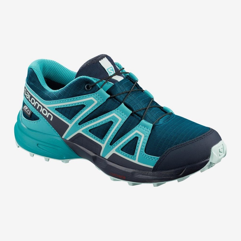 Salomon Speedcross Climasalomon Wasserdichte Trailrunning Schuhe Blau | 08465-AUEJ