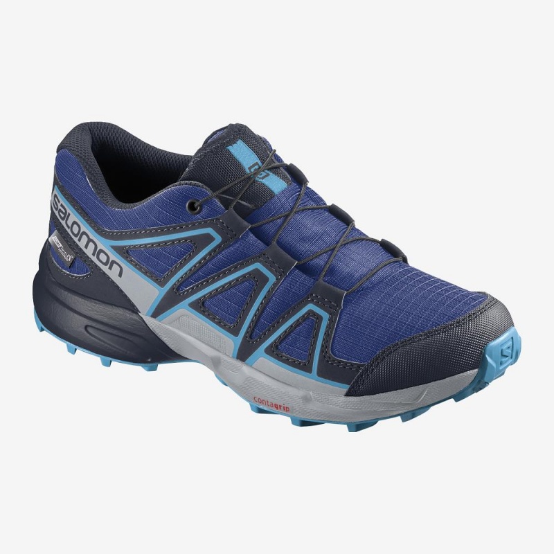 Salomon Speedcross Climasalomon Wasserdichte Trailrunning Schuhe Navy | 75210-BREI