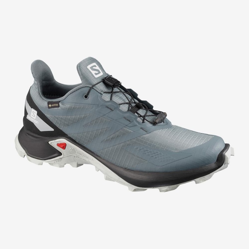 Salomon Supercross Blast Gtx Trailrunning Schuhe Gray | 38491-HECM