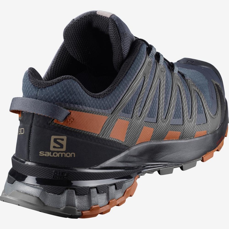 Salomon Xa Pro 3D V8 Gore-Tex Trailrunning Schuhe Gray | 01437-LNIQ