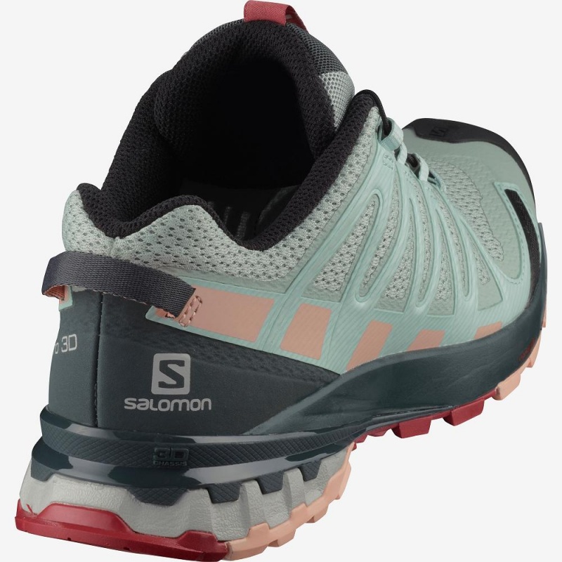 Salomon Xa Pro 3D V8 Trailrunning Schuhe Gray | 47980-HYZG