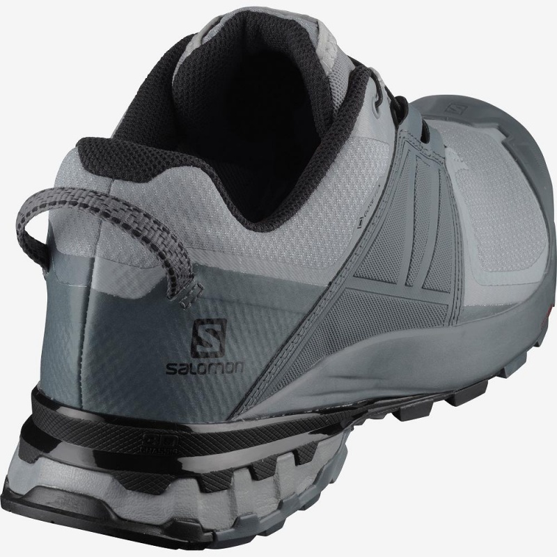 Salomon Xa Wild Gore-Tex Trailrunning Schuhe Gray | 81524-JLDF